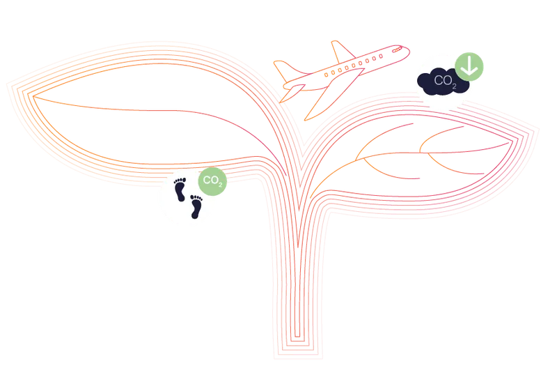 A plane, footsteps and a cloud of CO2 growing from a plant